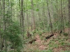Northern Red Horse Trail